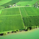 Qu’est-ce qui fait 1 hectare 